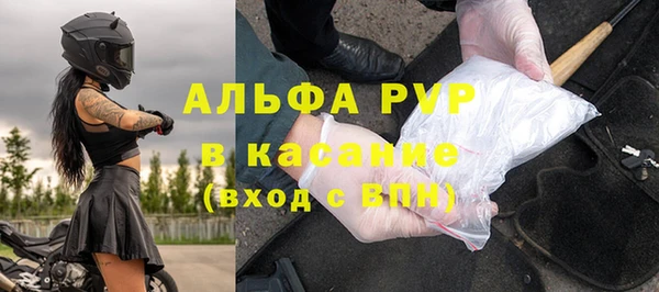 сатива Богданович