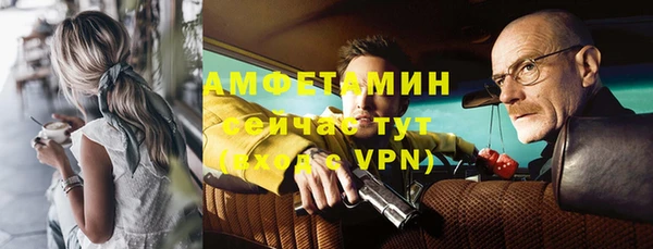 сатива Богданович