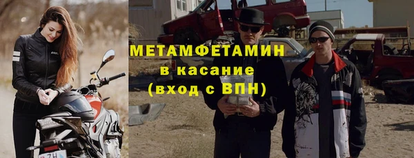 сатива Богданович