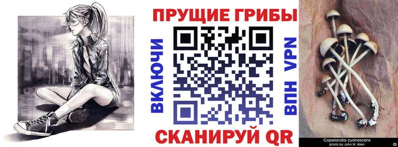 купить наркоту  Кохма  Галлюциногенные грибы ЛСД 